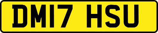 DM17HSU