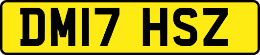 DM17HSZ