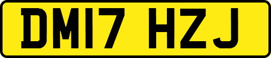 DM17HZJ