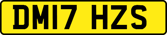 DM17HZS