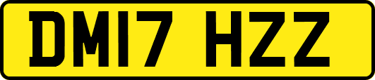 DM17HZZ