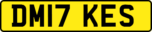 DM17KES