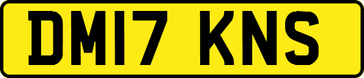 DM17KNS