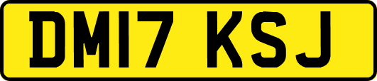 DM17KSJ