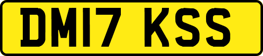 DM17KSS