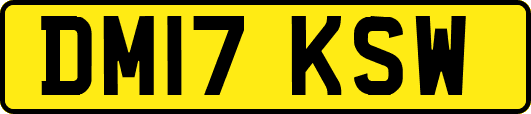 DM17KSW
