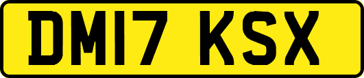 DM17KSX