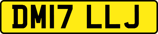 DM17LLJ