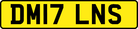 DM17LNS