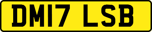 DM17LSB