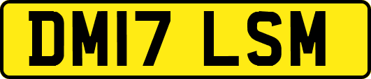 DM17LSM