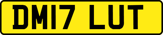 DM17LUT