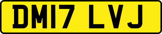 DM17LVJ