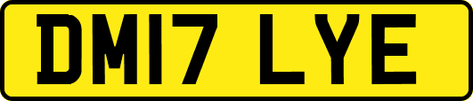 DM17LYE