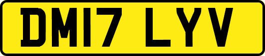 DM17LYV