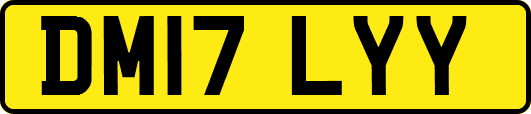 DM17LYY