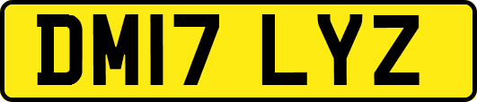 DM17LYZ