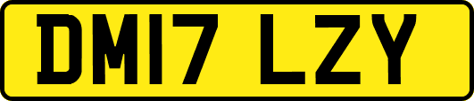 DM17LZY