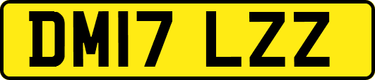 DM17LZZ