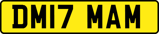 DM17MAM
