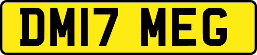 DM17MEG