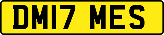 DM17MES