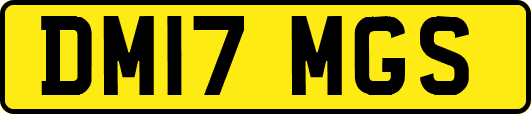 DM17MGS