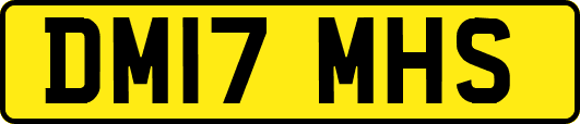DM17MHS