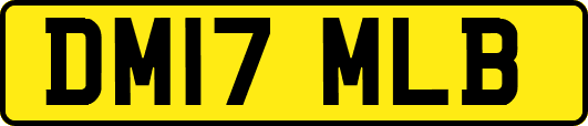 DM17MLB