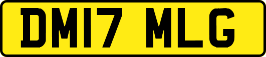 DM17MLG