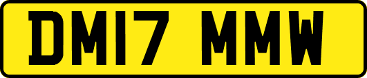 DM17MMW