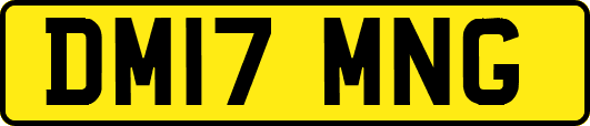 DM17MNG