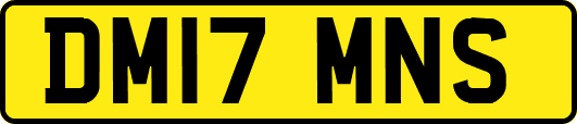 DM17MNS