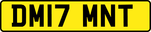 DM17MNT