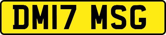 DM17MSG