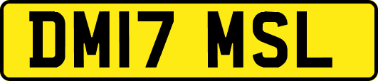 DM17MSL