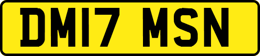 DM17MSN