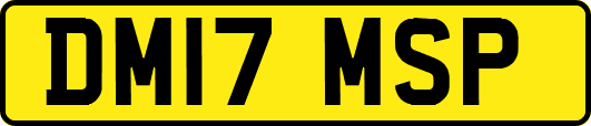 DM17MSP