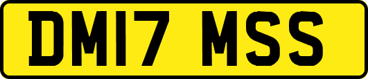 DM17MSS