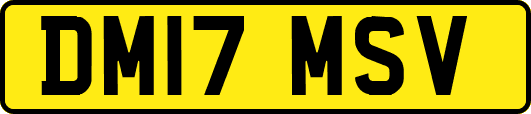 DM17MSV