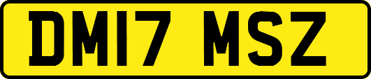 DM17MSZ