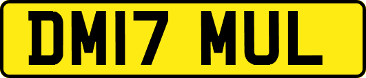 DM17MUL