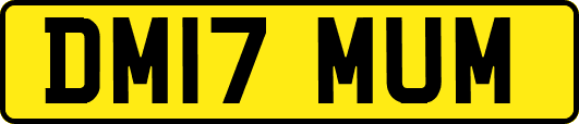 DM17MUM