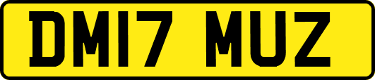 DM17MUZ