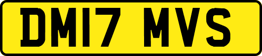 DM17MVS