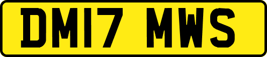 DM17MWS