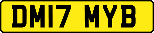 DM17MYB