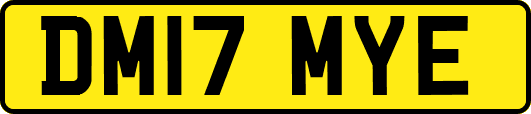 DM17MYE