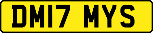 DM17MYS