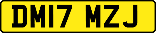 DM17MZJ